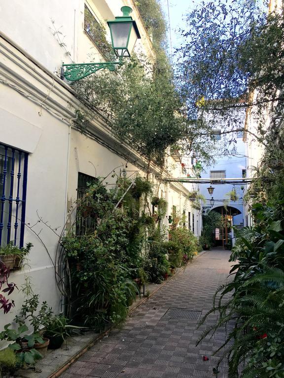 Casas De Sevilla - Apartamento Puente De Triana Extérieur photo